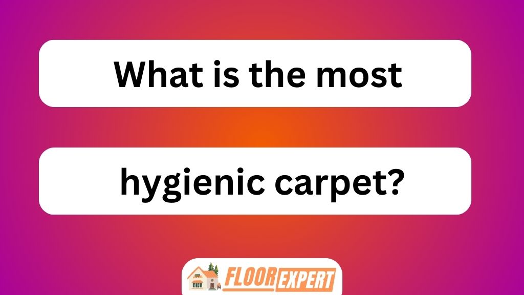 What Is the Most Hygienic Carpet