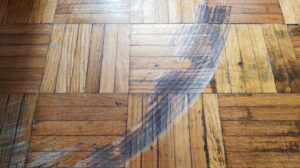 Can You Fix Scratches on Wood Floors