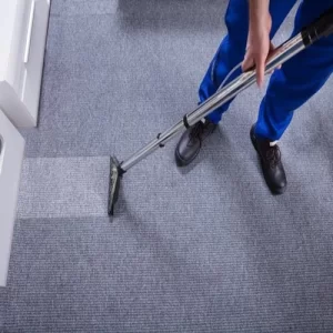  What Is the Most Hygienic Carpet
